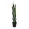 2.5ft. Potted Green Sansevieria Plant by Ashland&#xAE;
